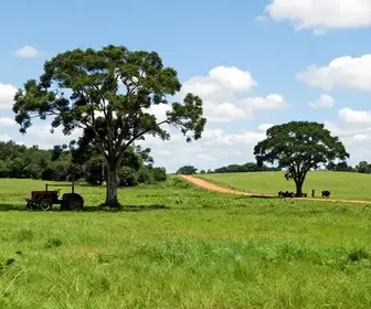 Descubra os Melhores Passeios Rurais em Bauru Descubra os Melhores Passeios Rurais em Bauru