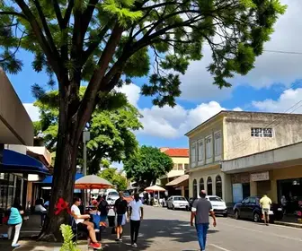 Explore os bairros de Bauru: guia completo com 2 opções Explore os bairros de Bauru: guia completo com 2 opções