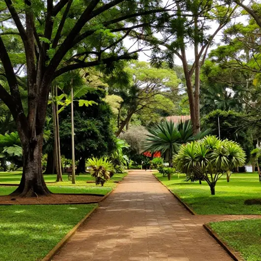 Horto Florestal Bauru Horto Florestal Bauru