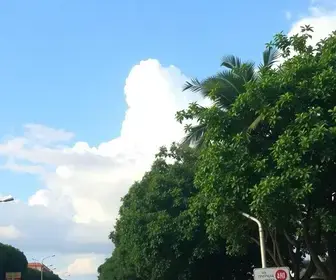 Previsão do tempo em Bauru (SP) hoje com temperaturas amenas previsão do tempo em Bauru